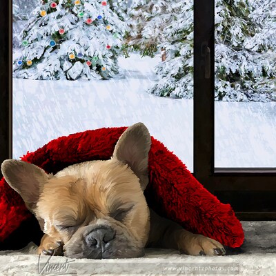 Winter Snooze - Unique Handmade Greeting Cards - image1